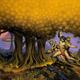 Illustration for article titled Michael Chabons 17-Year Quest to Write a Mars Adventure Movie